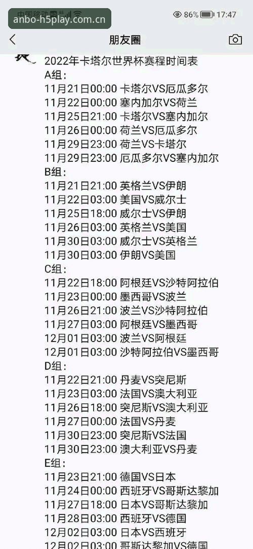 世界杯观赛体验全面评测：签证危机与赛事冷场的深度分析
